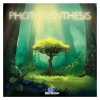 Photosynthesis